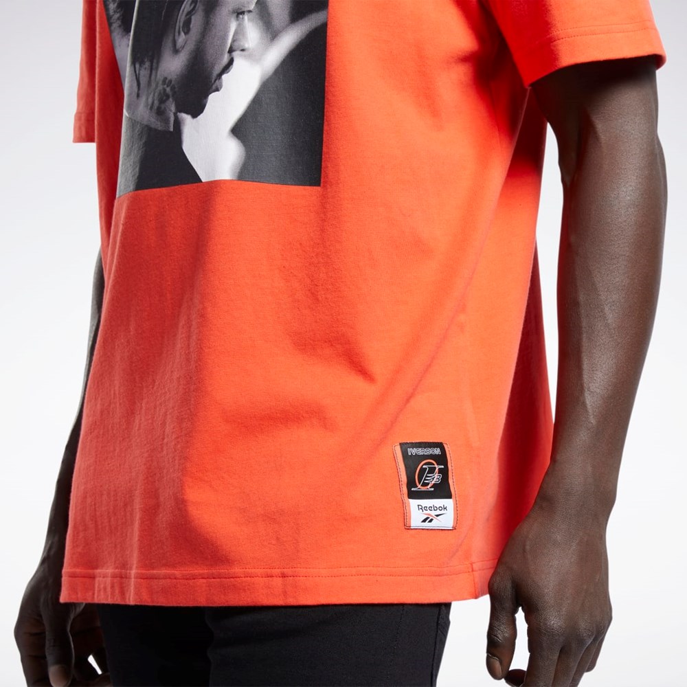 Reebok Iverson Basketball I3 Blue Print Kort Sleeve T-Shirt Rød | DCO620137