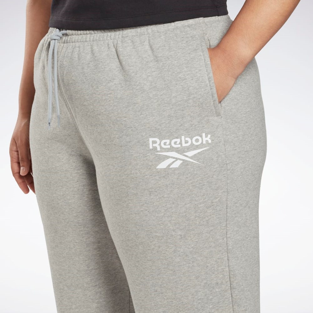 Reebok Reebok Identity Logo Fleece Joggers (Plus Size) Grå | DAP231876