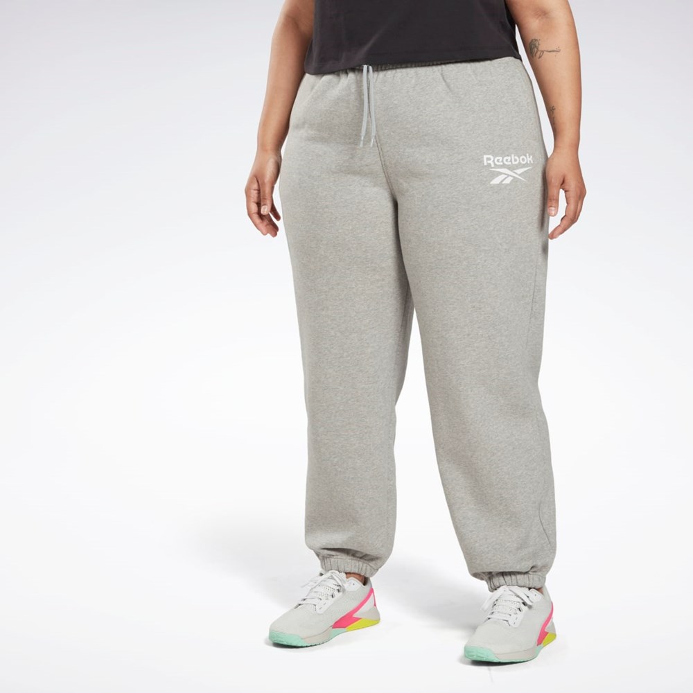 Reebok Reebok Identity Logo Fleece Joggers (Plus Size) Grå | DAP231876