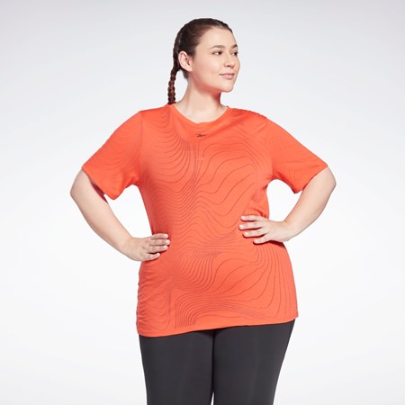 Reebok Burnout T-Shirt (Plus Size) Rød | JZA409235